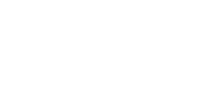 Wild Gaming